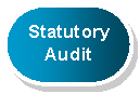 Rounded Rectangle: Statutory   Audit  