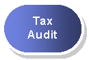 Rounded Rectangle: Tax   Audit  