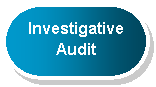 Rounded Rectangle: Investigative   Audit  