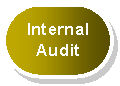 Rounded Rectangle: Internal   Audit  