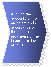 Chevron: Auditing the accounts of the organization in accordance with the specified provisions of the Income tax laws of India.   